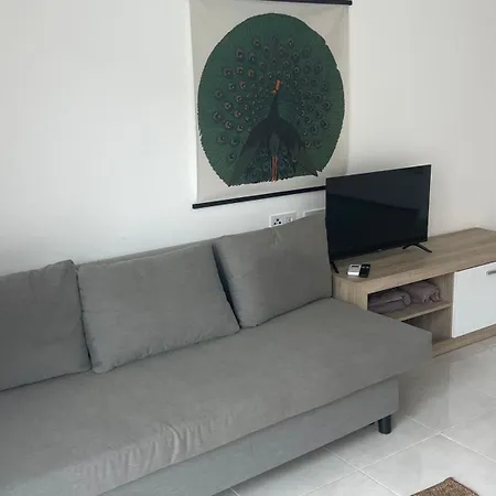 Appartement With A Rooftop Pool Torrevieja