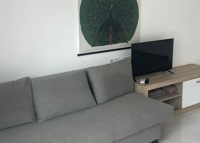 Apartment With A Rooftop Pool Torrevieja